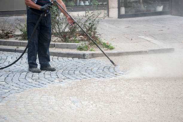 Best Dumpster Area Cleaning  in Mcdonough, GA